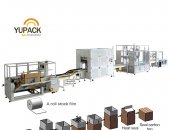 Fully automatic case packing and bag inserter&sealer line